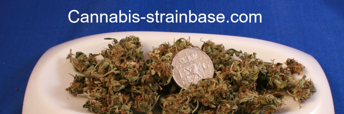 cannabis-strainbase.com